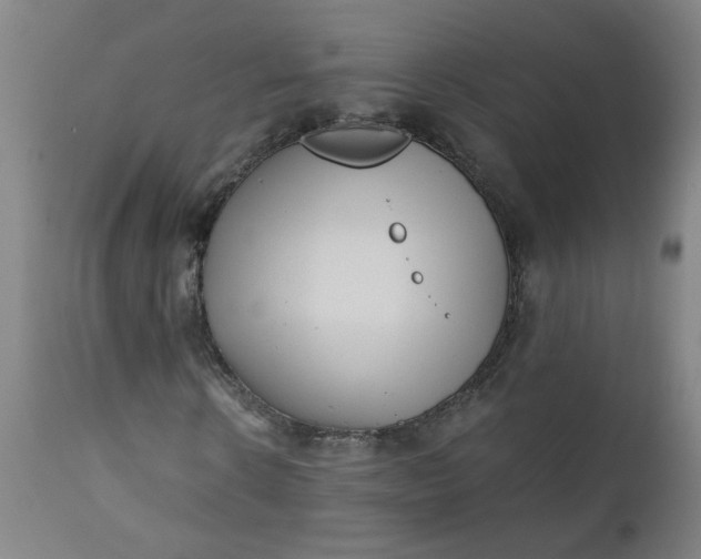 X0000110670914200906261253
