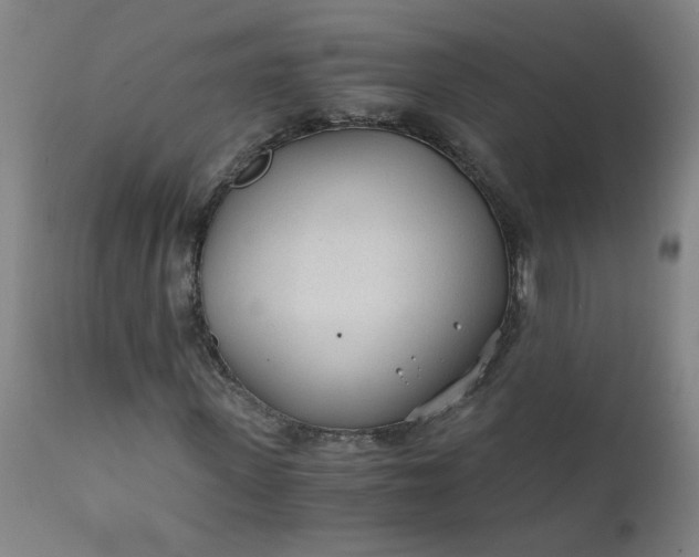 X0000110670915200906261253