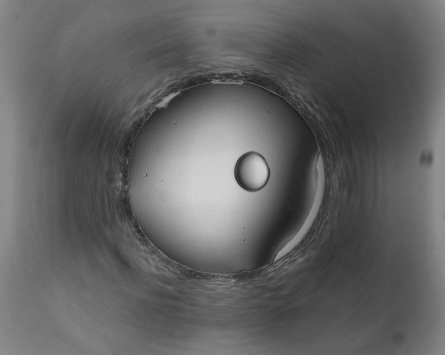 X0000110670916200906261254