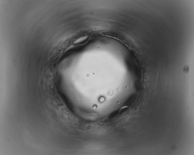X0000110670917200906261254