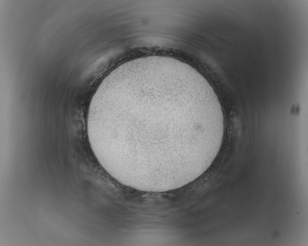 X0000110670918200906261254