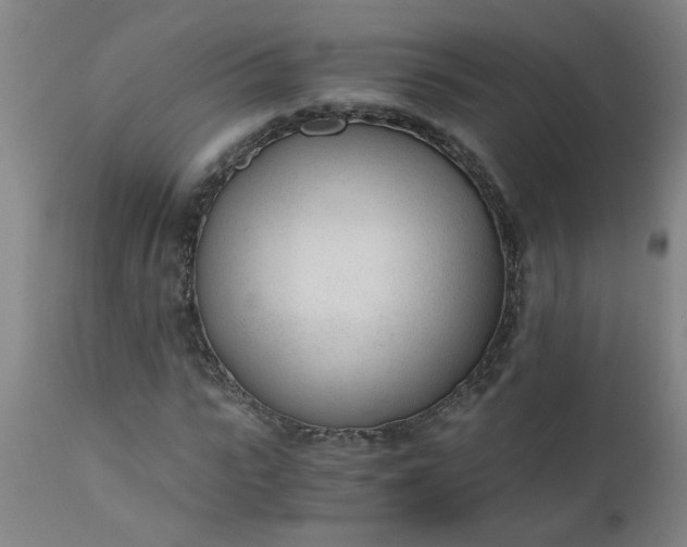 X0000110670919200906261254