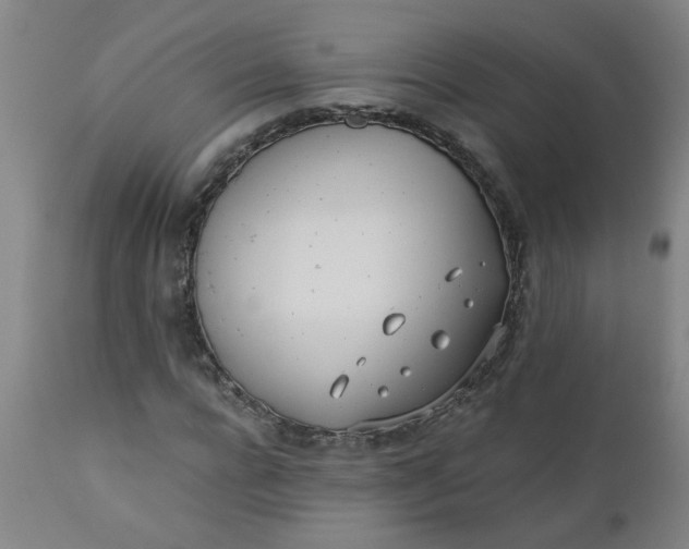 X0000110670920200906261254