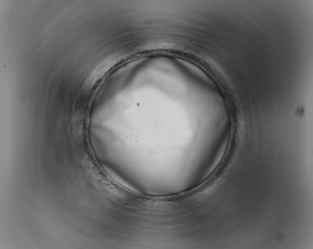 X0000110670921200906261254