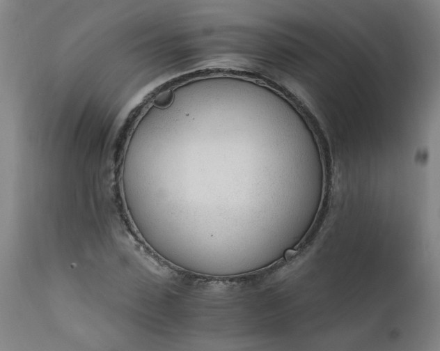 X0000110670923200906261254