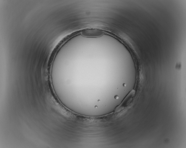 X0000110670924200906261254