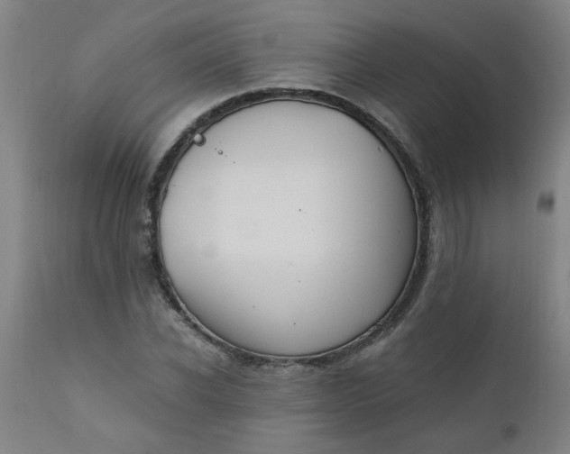X0000110670926200906261254