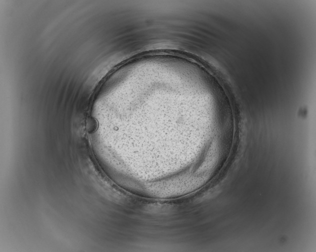 X0000110670929200906261254