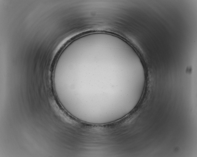 X0000110670932200906261254