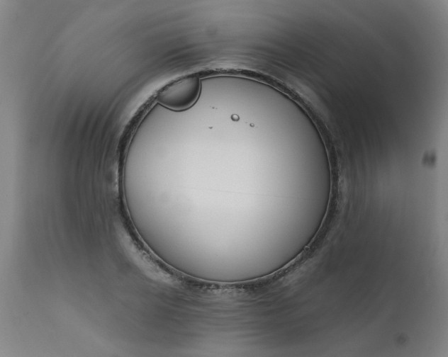 X0000110670934200906261254