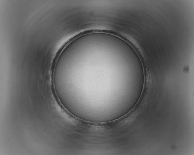 X0000110670935200906261254