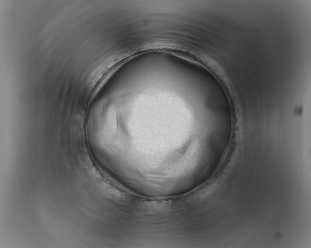 X0000110670937200906261254
