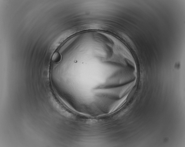 X0000110670938200906261254