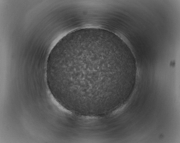X0000110670941200906261254
