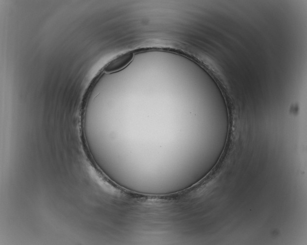 X0000110670942200906261254