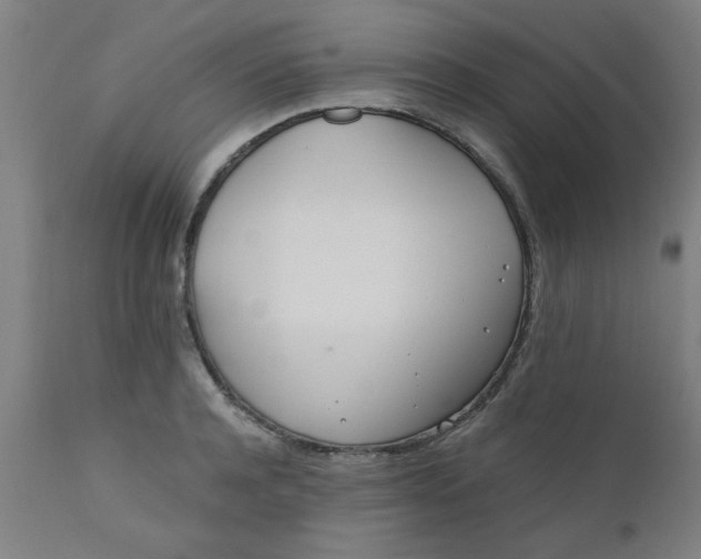 X0000110670944200906261254