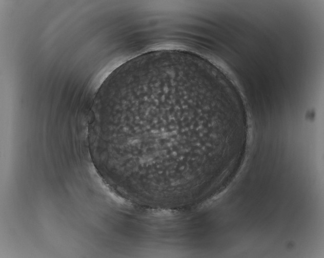 X0000110670945200906261254