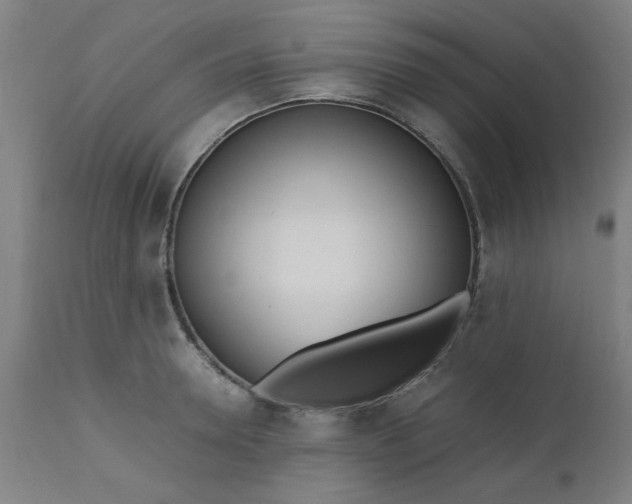 X0000110670946200906261254