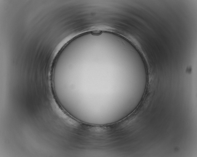 X0000110670947200906261254
