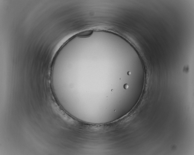X0000110670948200906261254