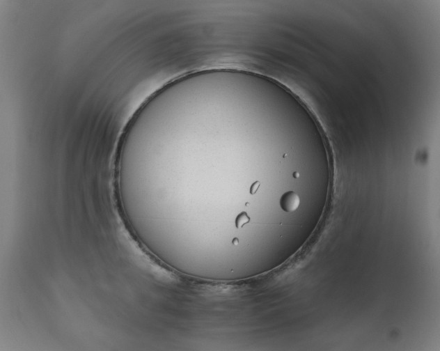 X0000110670949200906261254