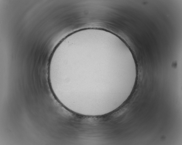 X0000110670950200906261254