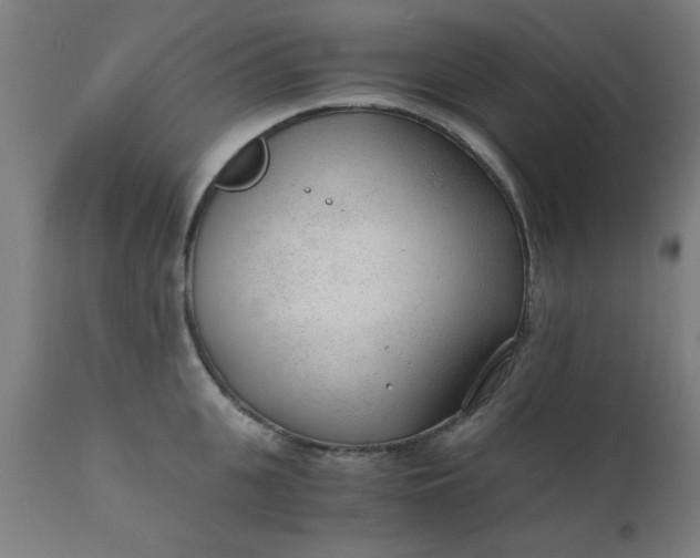X0000110670951200906261254