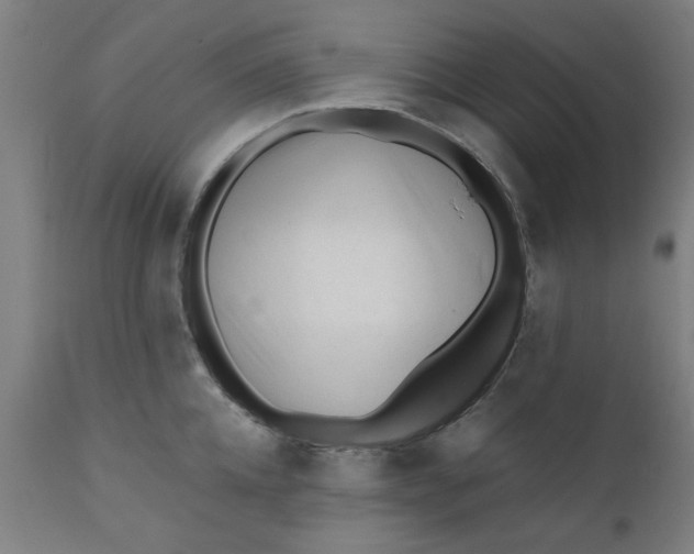 X0000110670952200906261254