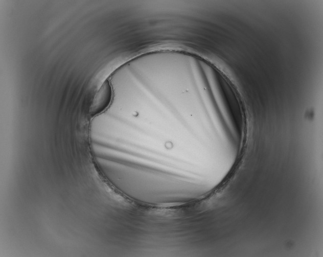 X0000110670953200906261254