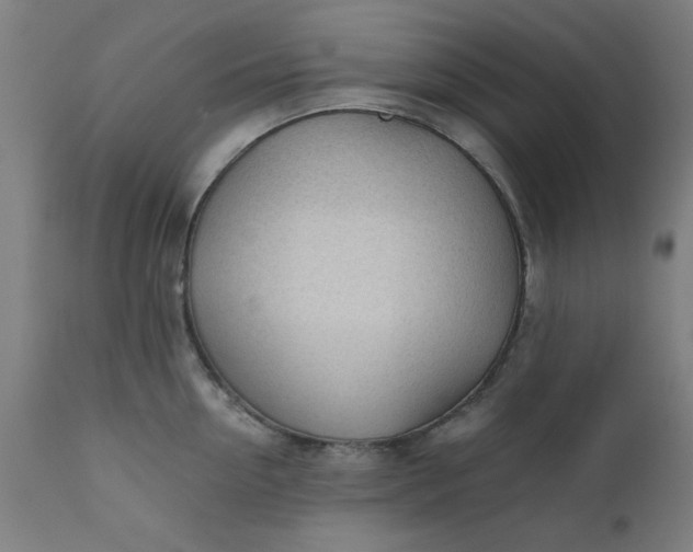 X0000110670954200906261254