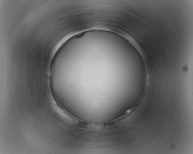 X0000110670955200906261254