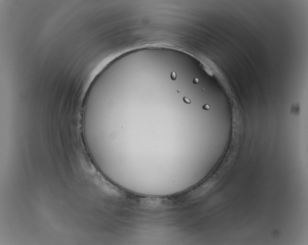 X0000110670956200906261254