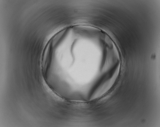 X0000110670957200906261254