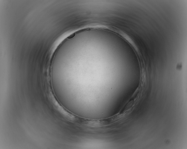 X0000110670959200906261254