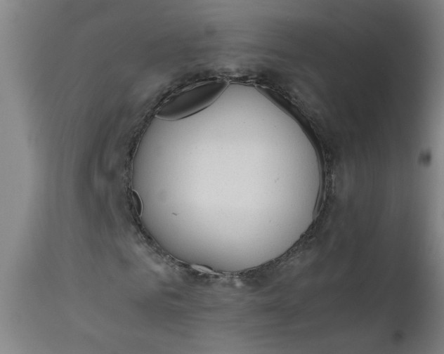 X0000110670961200906261253