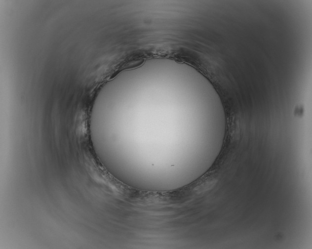X0000110670962200906261253