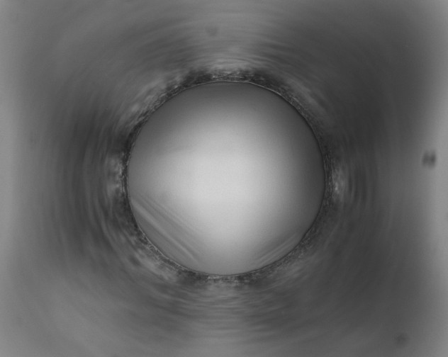 X0000110670964200906261253