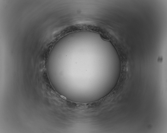 X0000110670965200906261253
