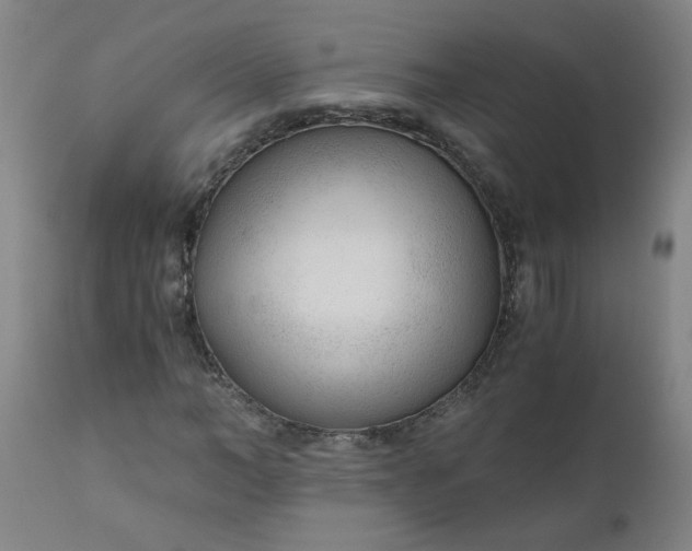 X0000110670966200906261253
