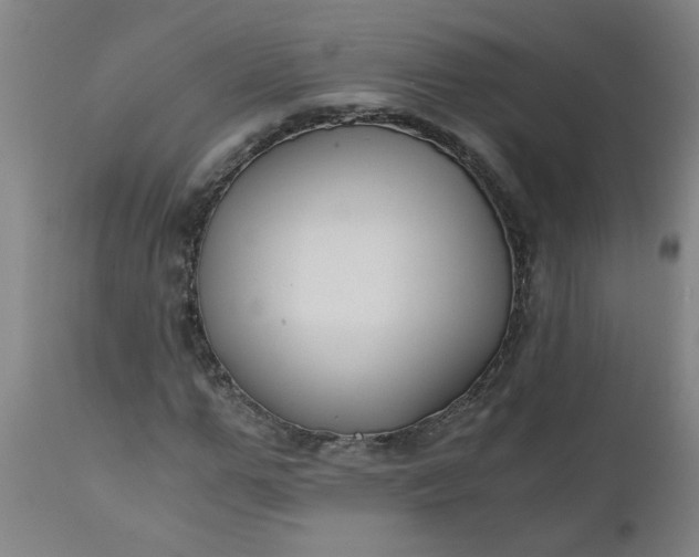 X0000110670967200906261253