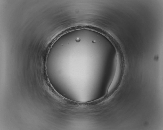 X0000110670969200906261253