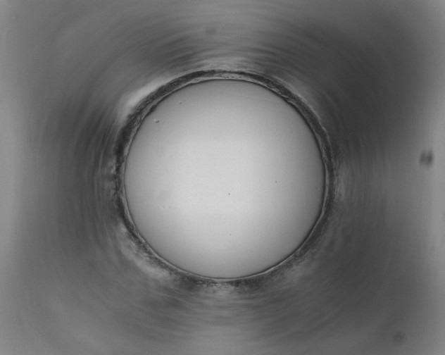 X0000110670971200906261253