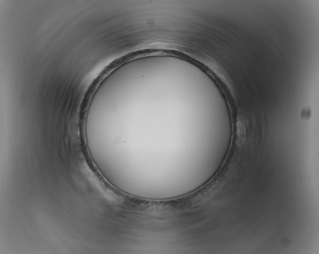 X0000110670972200906261253