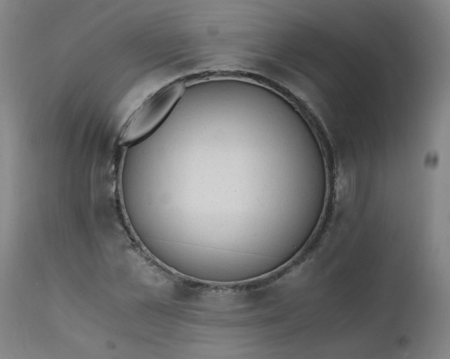 X0000110670973200906261253