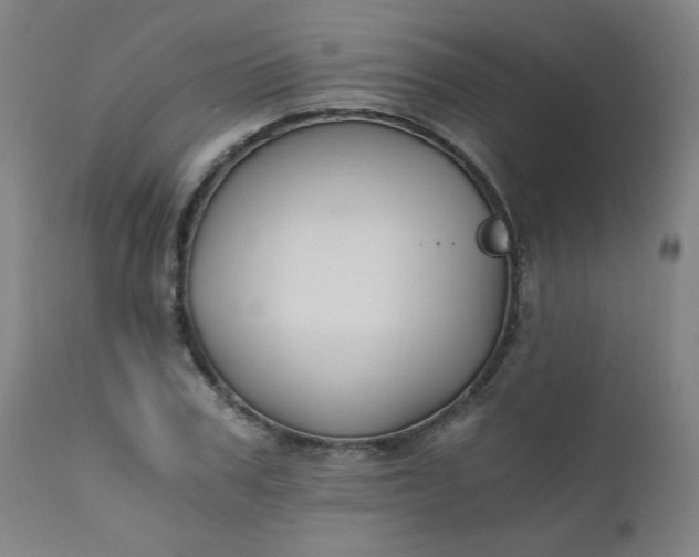 X0000110670979200906261253