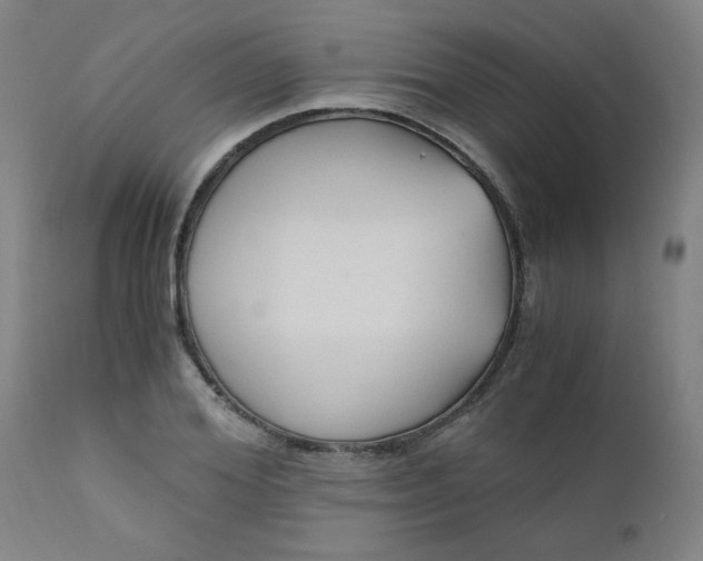 X0000110670980200906261253