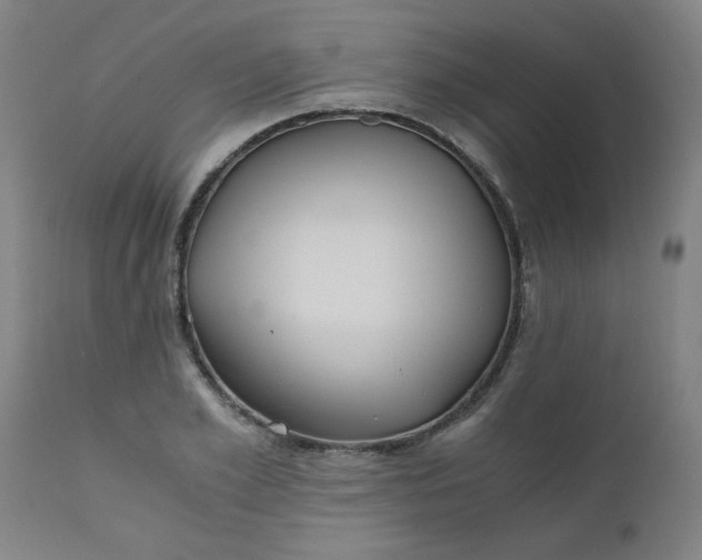 X0000110670981200906261253
