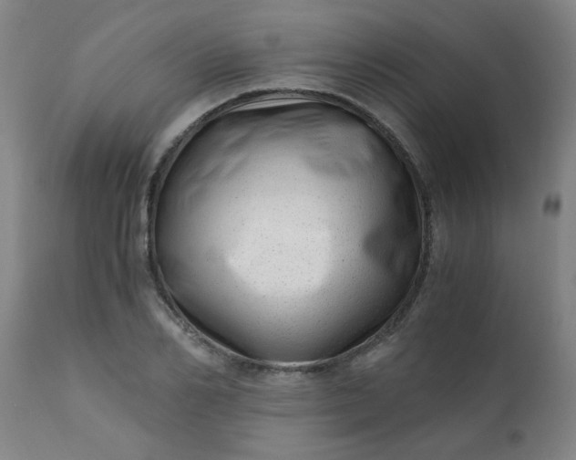 X0000110670982200906261253