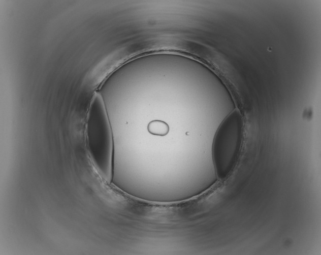 X0000110670985200906261253