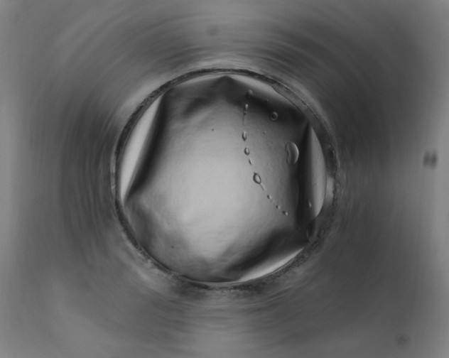 X0000110670988200906261253